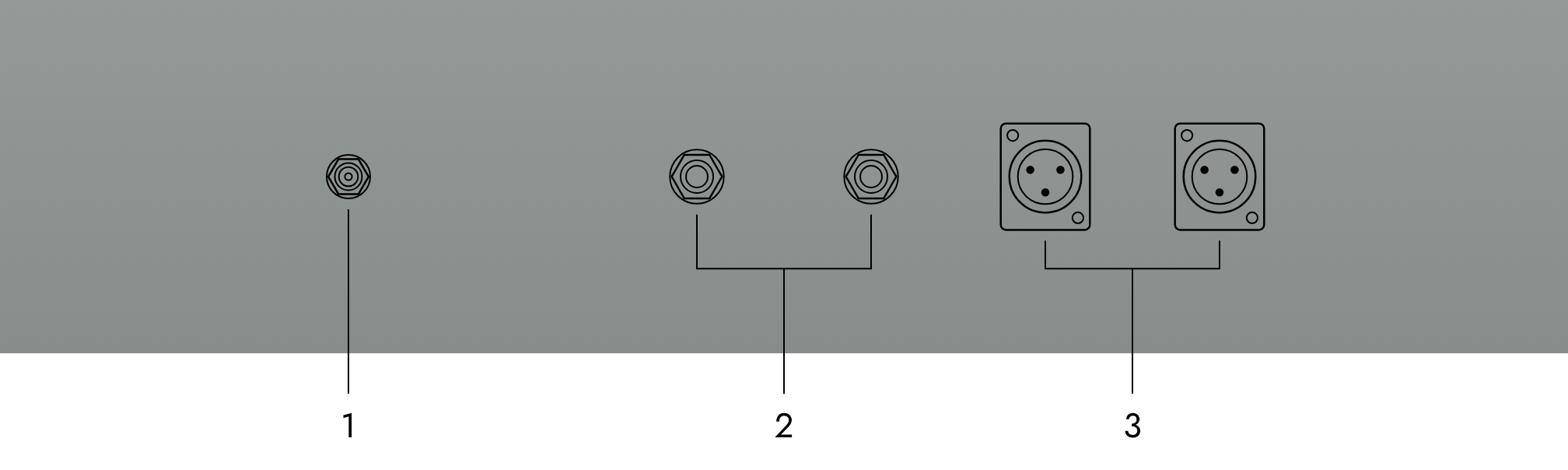 stereospring back panel: 1 power, 2 inputs, 3 outputs